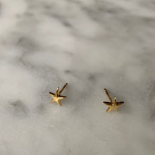 Load image into Gallery viewer, Star Earrings
