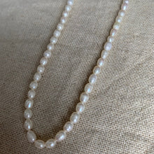 Load image into Gallery viewer, Freshwater Pearl Necklace
