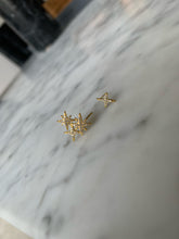 Load image into Gallery viewer, Lucero Earrings
