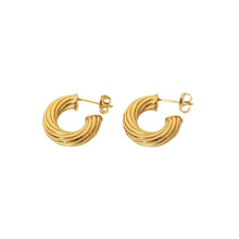 Load image into Gallery viewer, Twist Hoop Earrings
