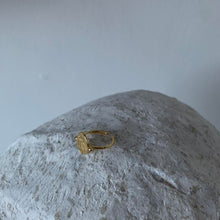Load image into Gallery viewer, Dog &amp; Rhinestone Ring
